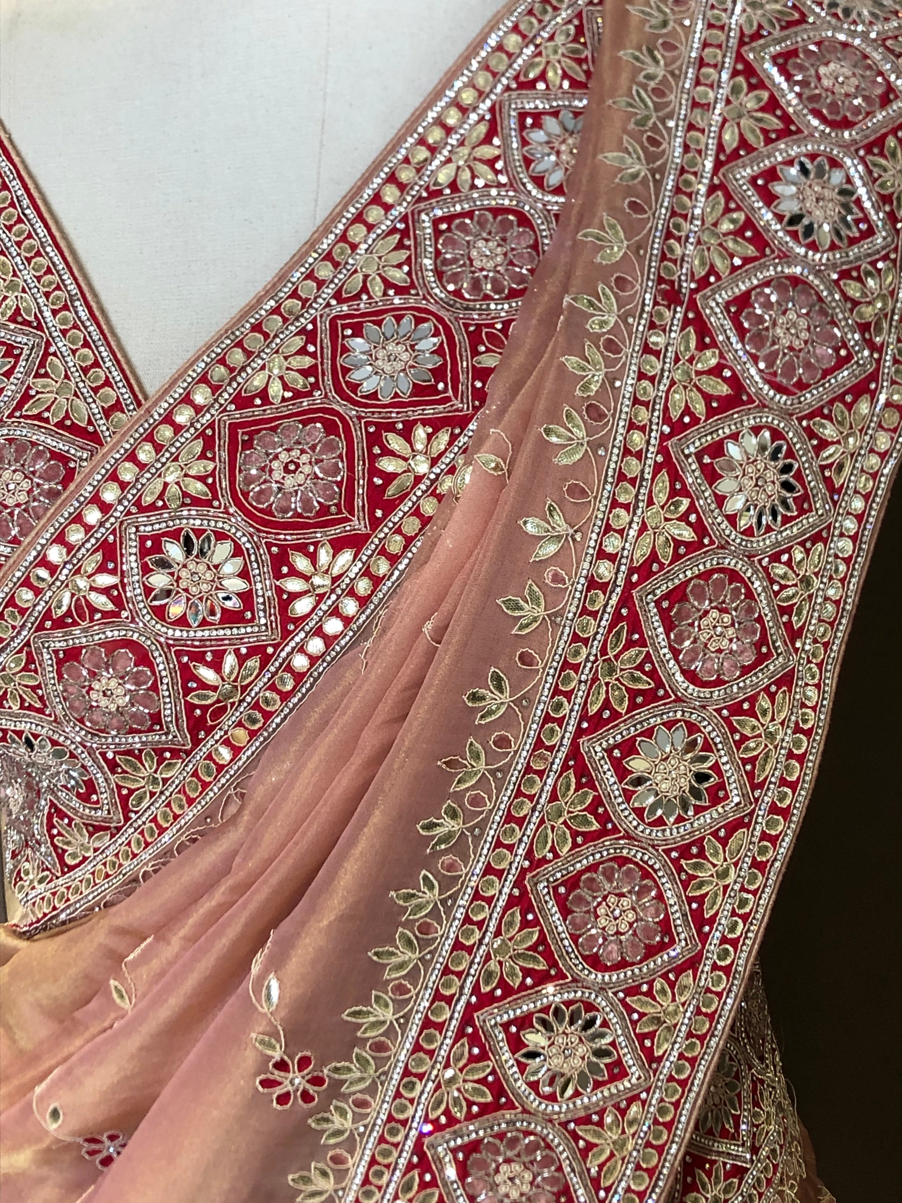 Tissue Organza Saree