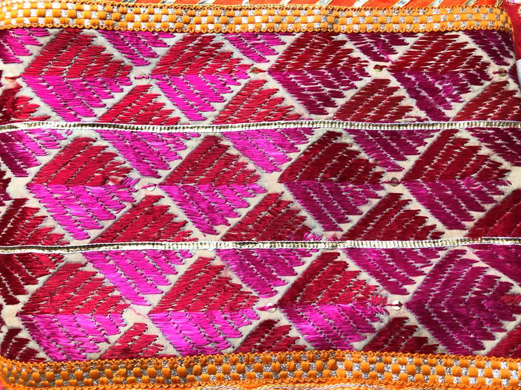Phulkari Suit