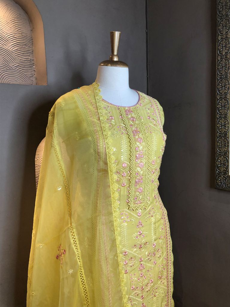 Organza Embroided Suit
