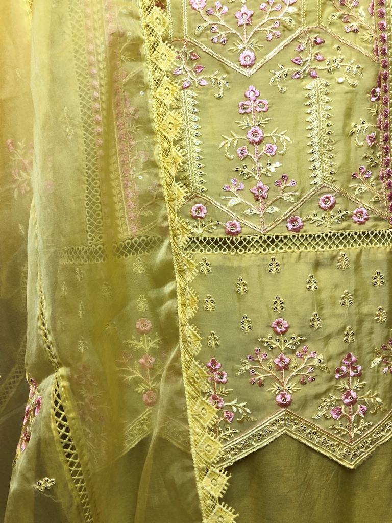 Organza Embroided Suit