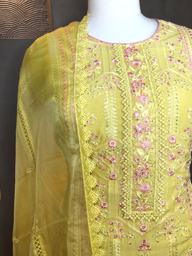 Organza Embroided Suit