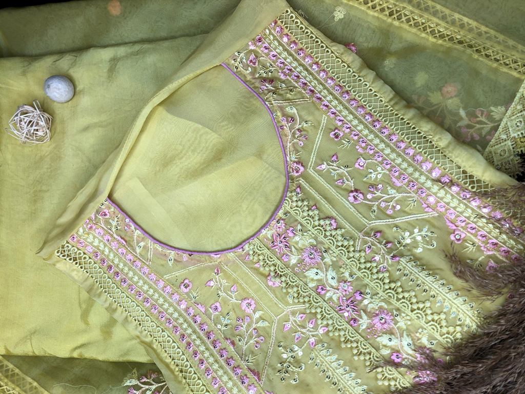 Organza Embroided Suit
